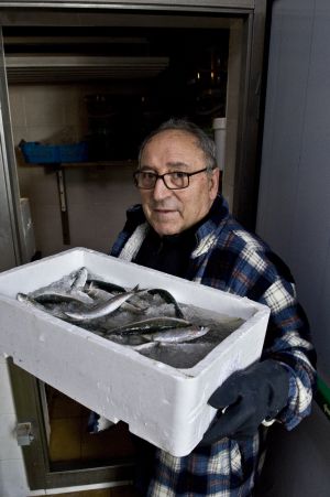Barrio pobre: Can Peguera. Pescadería cercana a Les Cases Barates.
