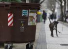foto de la noticia