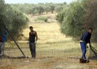 El retraso del antiguo PER amenaza el subsidio de miles de jornaleros