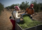 Nuevo almacenamiento de aceite para frenar la caída de precios Nuevo almacenamiento de aceite para frenar la caída de precios