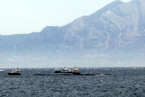 Embarcaciones tratan de limpiar el vertido de fuel en la Bahía de Algeciras.