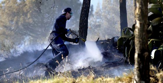Cuatro horas contra el fuego en Collserola