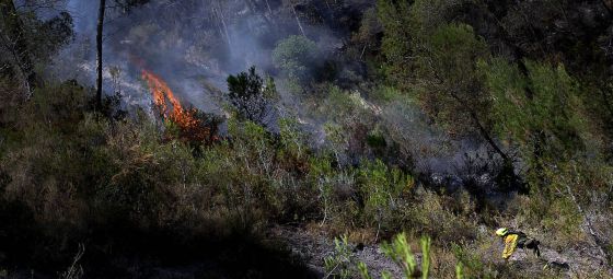 Las llamas brotan en algunos puntos en el incendio de Cortes de Pallás.
