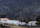 “Repoblar el monte quemado ahora es una aberración” “Repoblar el monte quemado ahora es una aberración”