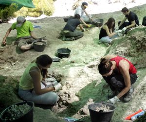 Varios participantes en la excavación de Torrejón de Velasco, la pasada semana. Varios participantes en la excavación de Torrejón de Velasco, la pasada semana.