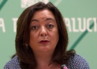 IU pide la aplicación inmediata del fallo del Supremo sobre segregación