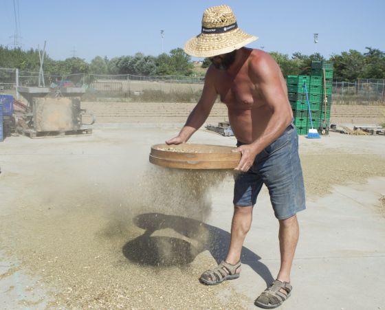 Albert Bou criba alubias en Cal Coracero, en el Parque Agrario del Baix Llobregat Albert Bou criba alubias en Cal Coracero, en el Parque Agrario del Baix Llobregat