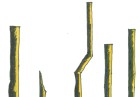 Molta Rodoreda