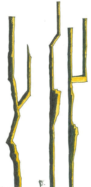 Molta Rodoreda