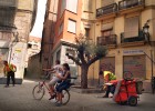 Romero i l’àlber