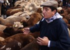 foto de la noticia