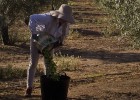 Alcaldes de Jaén aportan 25.000 firmas por un PER de urgencia