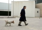 foto de la noticia