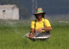 Otra vez la guerra del agua Otra vez la guerra del agua