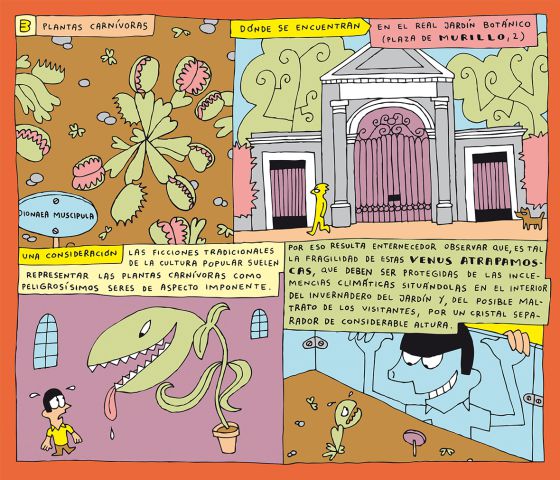 Una ciudad a cinco tintas