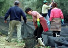 Empleo rebaja de 35 a 20 los jornales para cobrar el subsidio