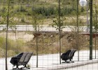 foto de la noticia