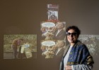 foto de la noticia