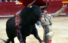 foto de la noticia
