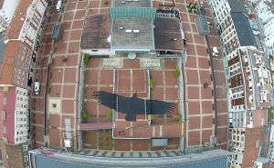 The Vulture Shadow, proyección de la sombra de un buitre sobre el Artium, obra de Juan Zamora.