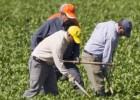 Más de 7.300 jornaleros dejan de recibir el subsidio agrario