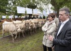 foto de la noticia