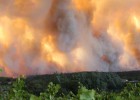 El Gobierno contrata 200 personas menos para la campaña forestal