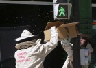 foto de la noticia
