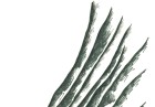 L’origen del problema