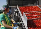 El tomate que se convirtió en teclado