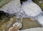La contaminación por purines en Osona se extiende con las lluvias