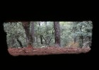 Hitos de la Guerra Civil a los pies de Somosierra