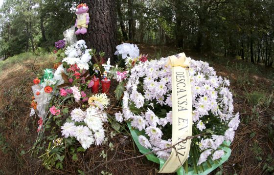 El padre de Asunta estuvo con la niña al ser envenenada y en otros dos incidentes
