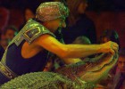 Catalonia to become first region to ban circus acts with live animals Catalonia to become first region to ban circus acts with live animals