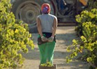 Una voz única para la PAC