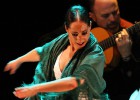 Flamenco para todo el sur Flamenco para todo el sur