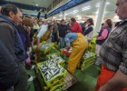 A juicio cinco narcoempresarios que importaban pescado de Ecuador para traer cocaína