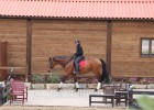 Caballos de élite en el limbo