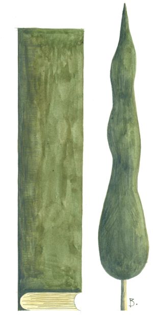 Els oblidats