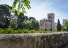 Els dominis de l’araucària