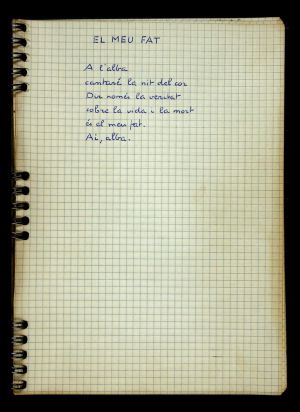 Vinyoli: ara que no és tard