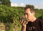 Vuelve la pasión por el cine, el vino y el cava del Most Festival