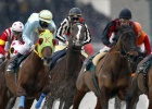 La Zarzuela se queda sin carreras de caballos