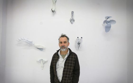 "Allò representat en els llenços són aquelles formes insòlites, que ell modula retallant el plàstic i que recombina.