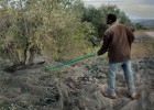 La llegada de inmigrantes al olivar cae a su nivel histórico más bajo
