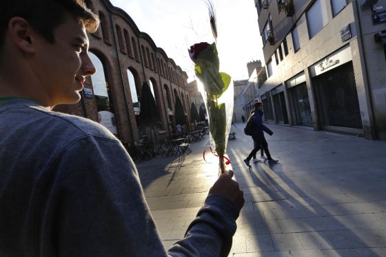 Una rosa por Sant Jordi