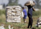 De Europa al bolsillo del agricultor