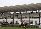 Las carreras de caballos regresan a La Zarzuela