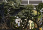 Feria Valencia se llenará en febrero por primera vez desde 2006