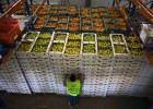 Euskadi, con dos millones de kilos, lidera la recogida de alimentos 2015